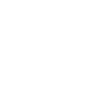 Customized service and quick response